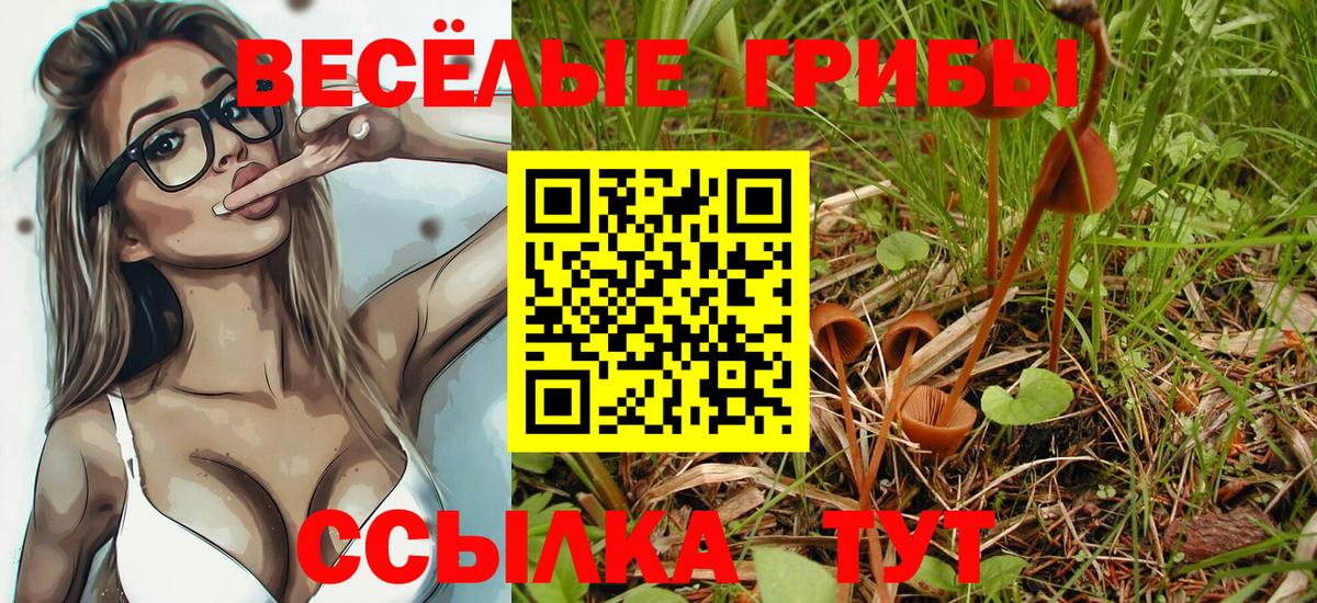 Псилоцибиновые грибы мицелий  Галлюциногенные грибы Magic Shrooms  Борисоглебск  Вход с VPN 
